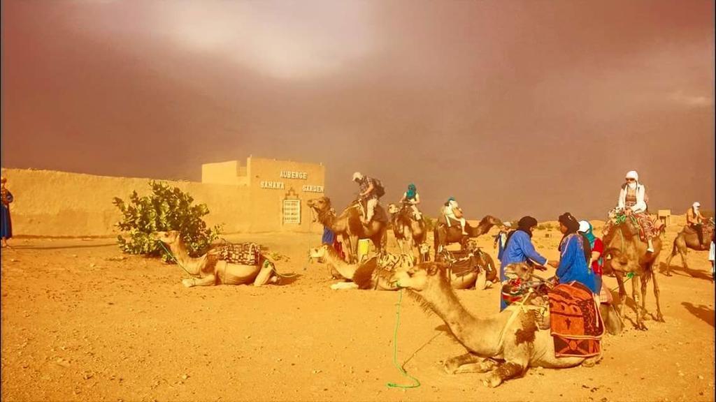Auberge Sahara Garden Lac Yasmins المظهر الخارجي الصورة